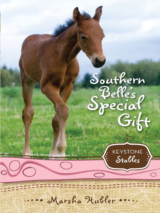 Title details for Southern Belle's Special Gift by Marsha Hubler - Available